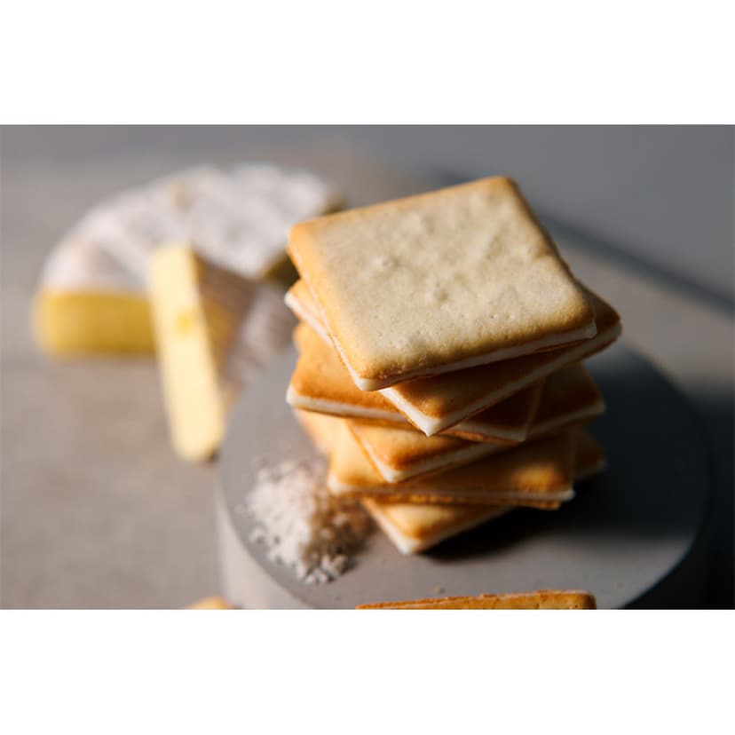 Tokyo Milk Cheese Factory 東京牛奶工場夾心曲奇(5款)