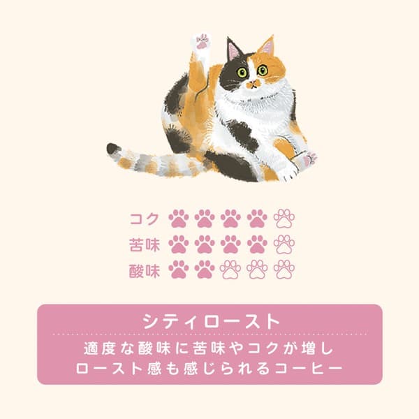 Kissa 有機掛耳咖啡 三色貓包裝 城市烘焙