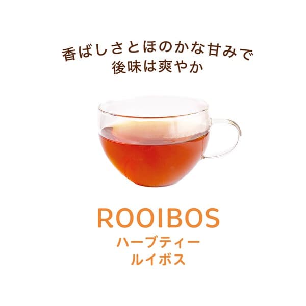 貓咪插畫波斯貓設計博士茶三角茶包禮袋