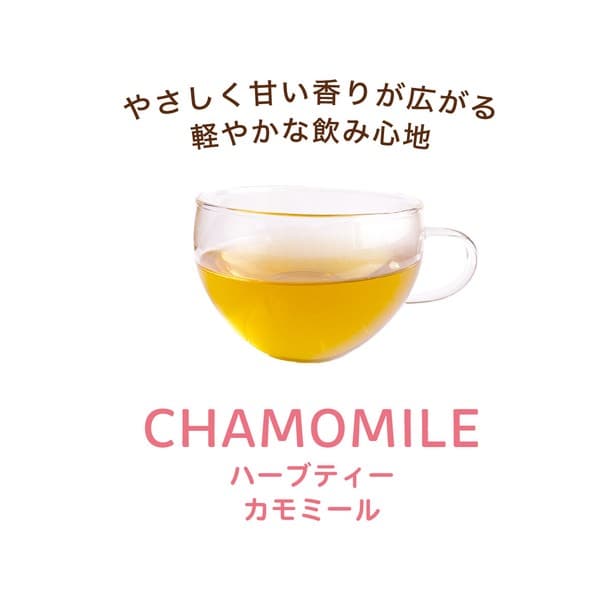 蘇格蘭摺耳貓洋甘菊三角茶包禮袋